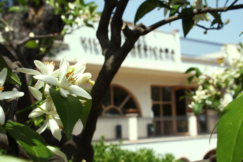 Park Hotel Villa Americana Роди Гарганико Екстериор снимка
